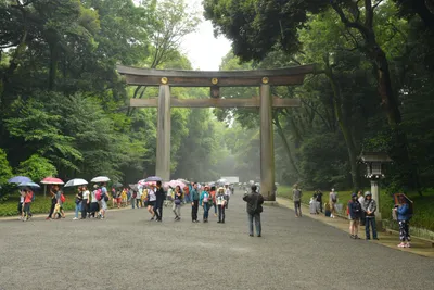 DSC_3272 (Large).JPG